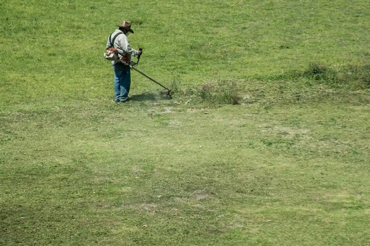 Person wearing a hat using a gas-powered weed trimmer on a grassy hillside