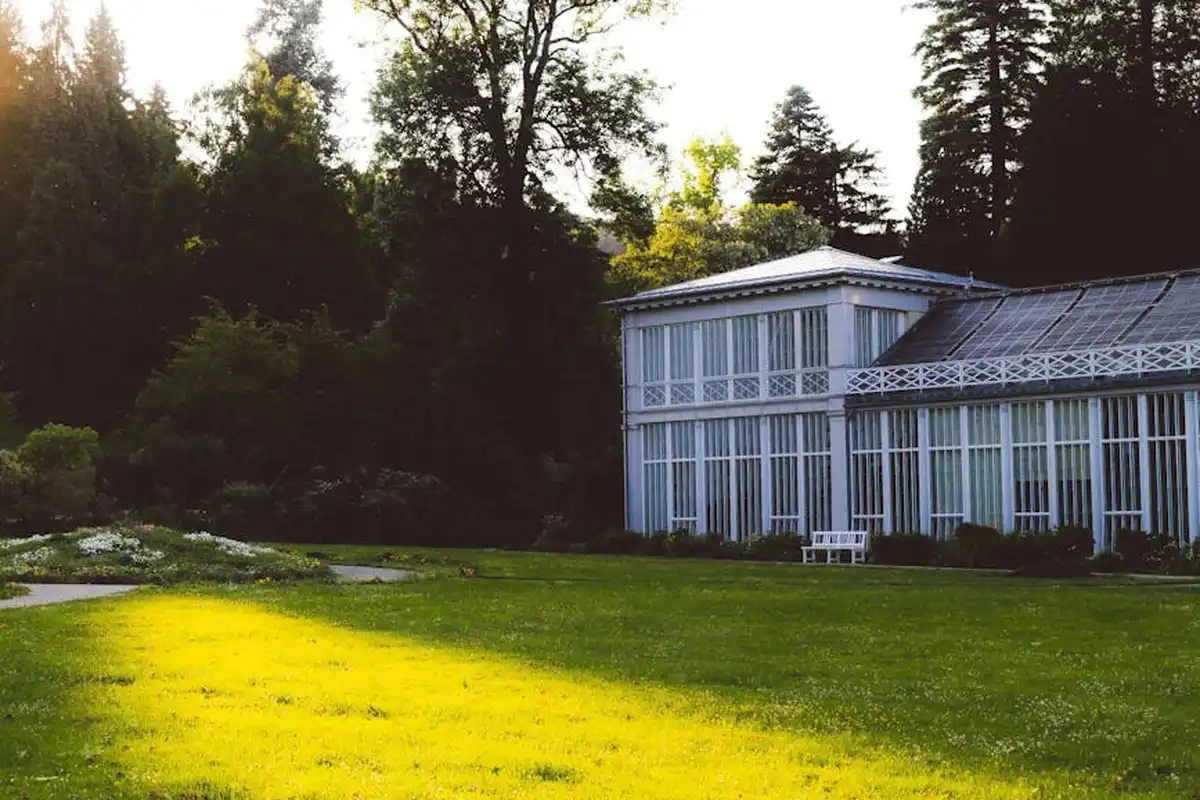 Sunlit lawn with a glass greenhouse and surrounding trees