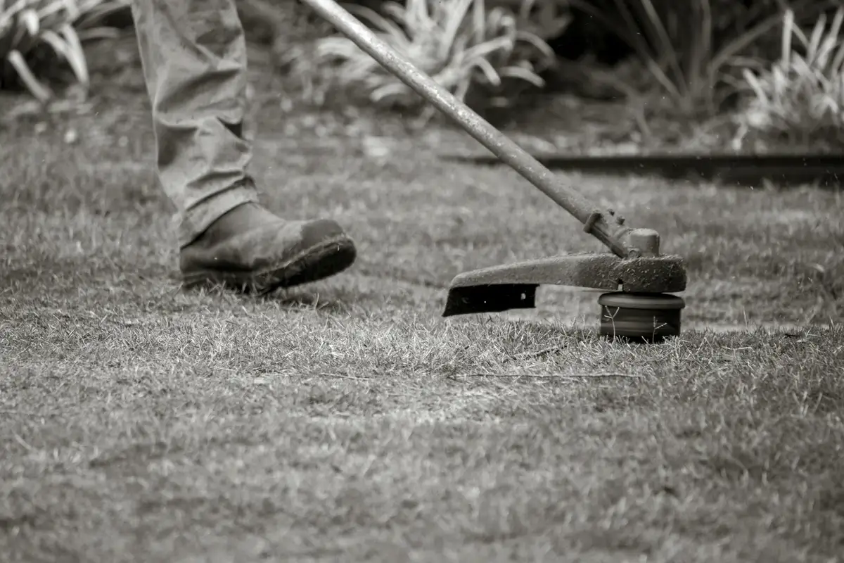 A person wearing work boots uses a lawn roller on a patchy lawn to prepare soil for reseeding