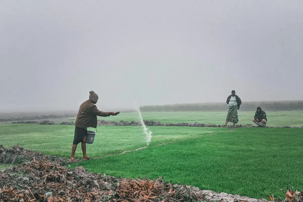 A person spraying a lush green lawn with a sprinkler, while others stand nearby and observe in the background.