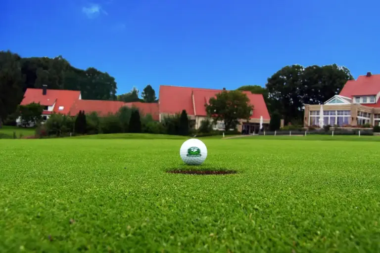 Close-up of a putting green with a golf ball near the hole, with suburban houses and a blue sky in the background.