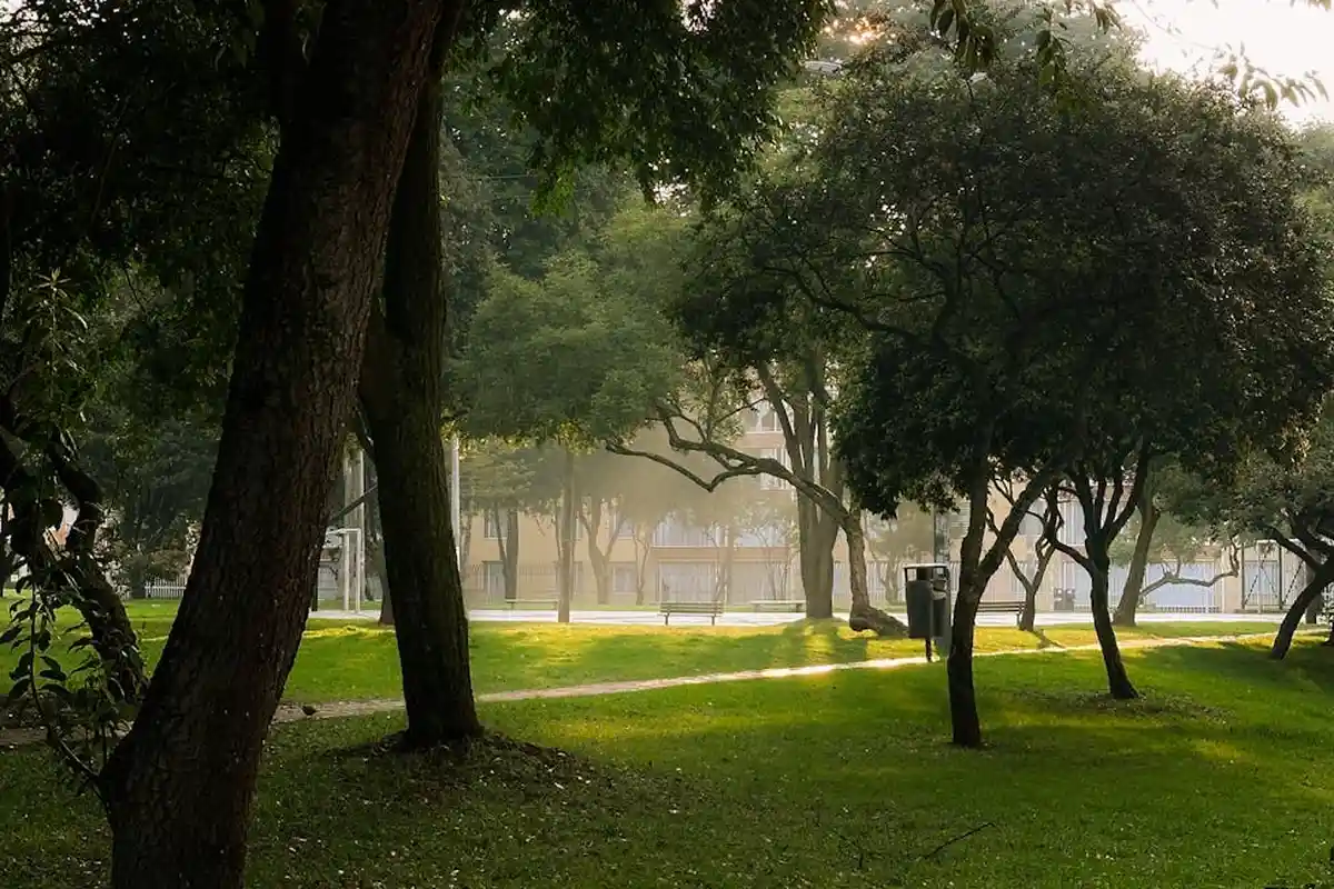 Sunlit park lawn with mature trees and a distant path, illustrating a calm, well-sized outdoor space