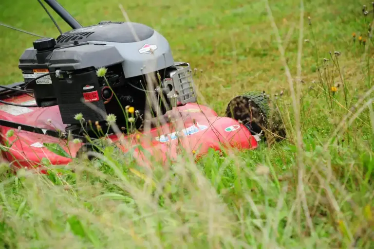 Red lawn mower partially obscured by tall grass in a field.