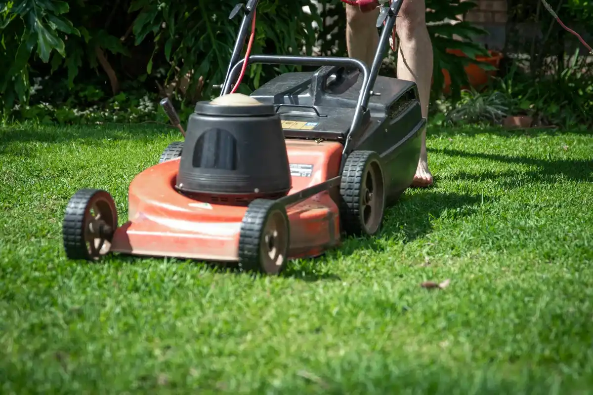 Red lawn mower on a green, well-manicured lawn with a person standing behind it