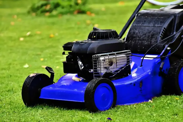 Blue gas-powered lawn mower on a green lawn
