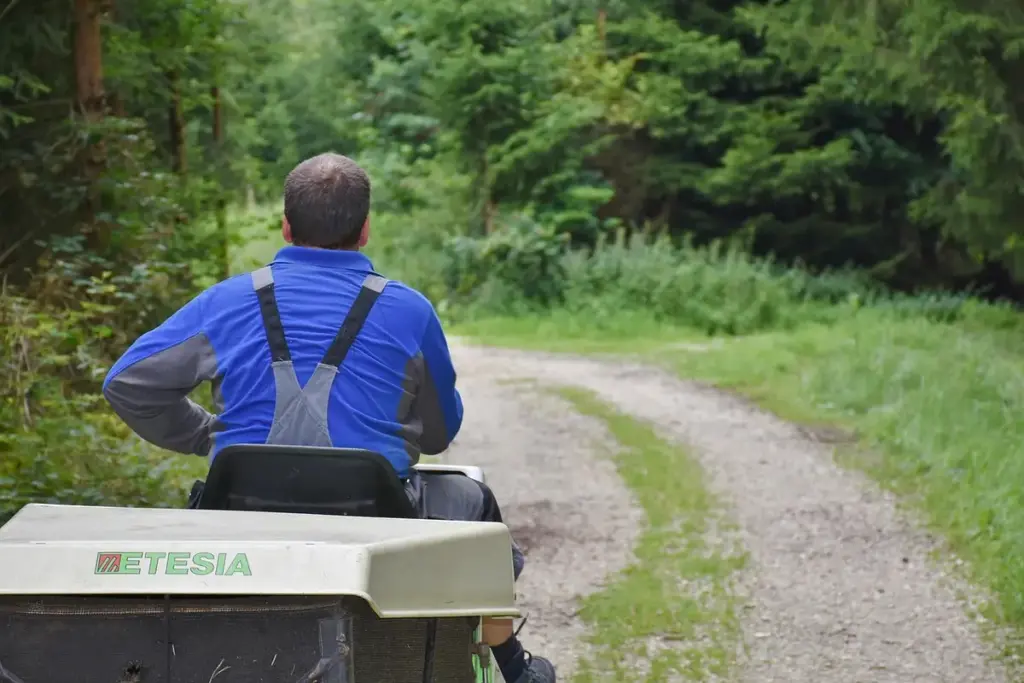 What Oil Does My Lawn Mower Need?