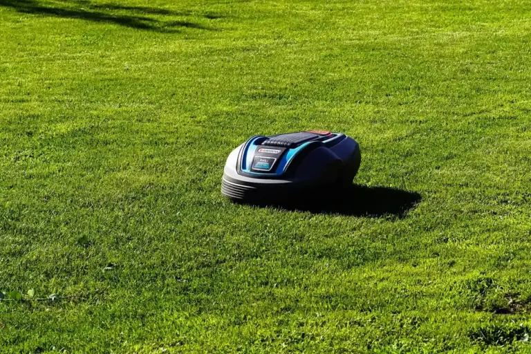 Robotic lawn mower on a green lawn