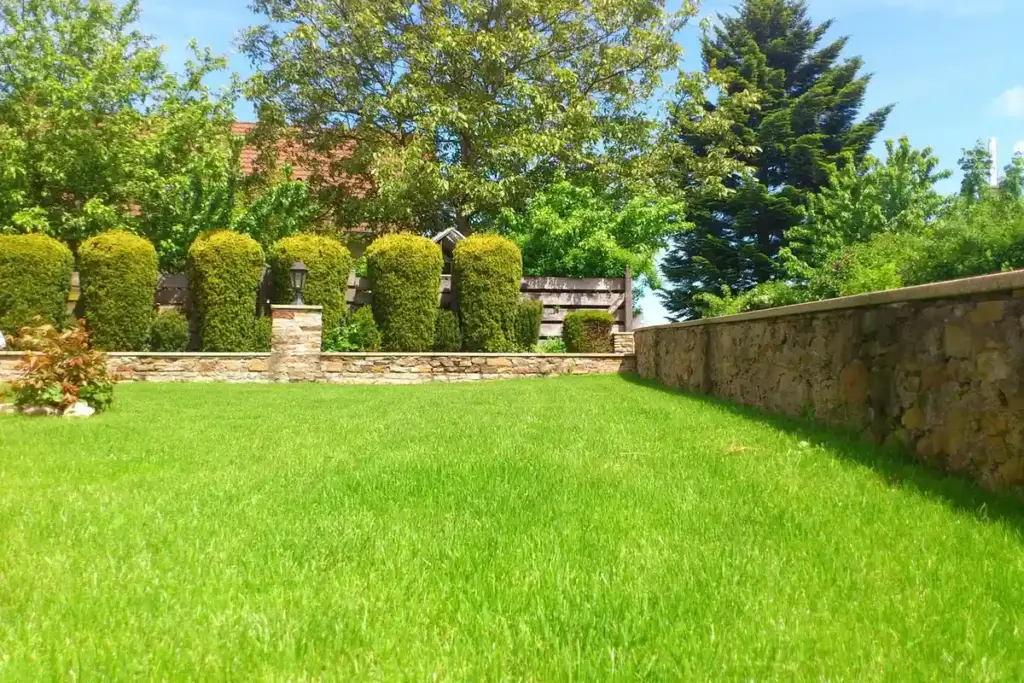 Is It Safe to Mow a Wet Lawn? Your Practical Equipment and Safety Guide
