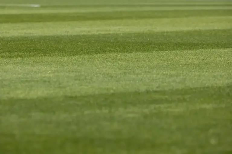 Lawn with dense green grass showing a striped pattern, suitable for discussing lawn rust disease.