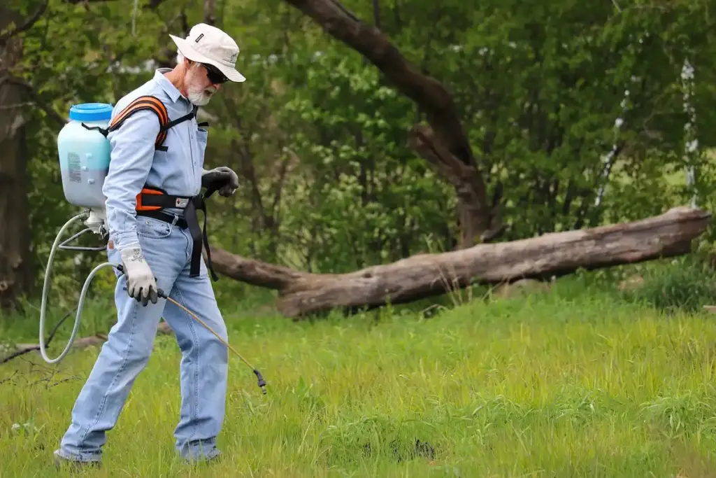 What Are the Best Lawn Care Business Names and Service Ideas for Your Side Hustle?