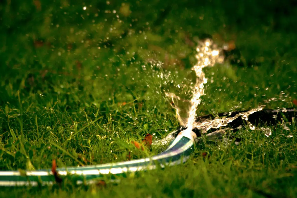 Sprinkler watering a lush green lawn