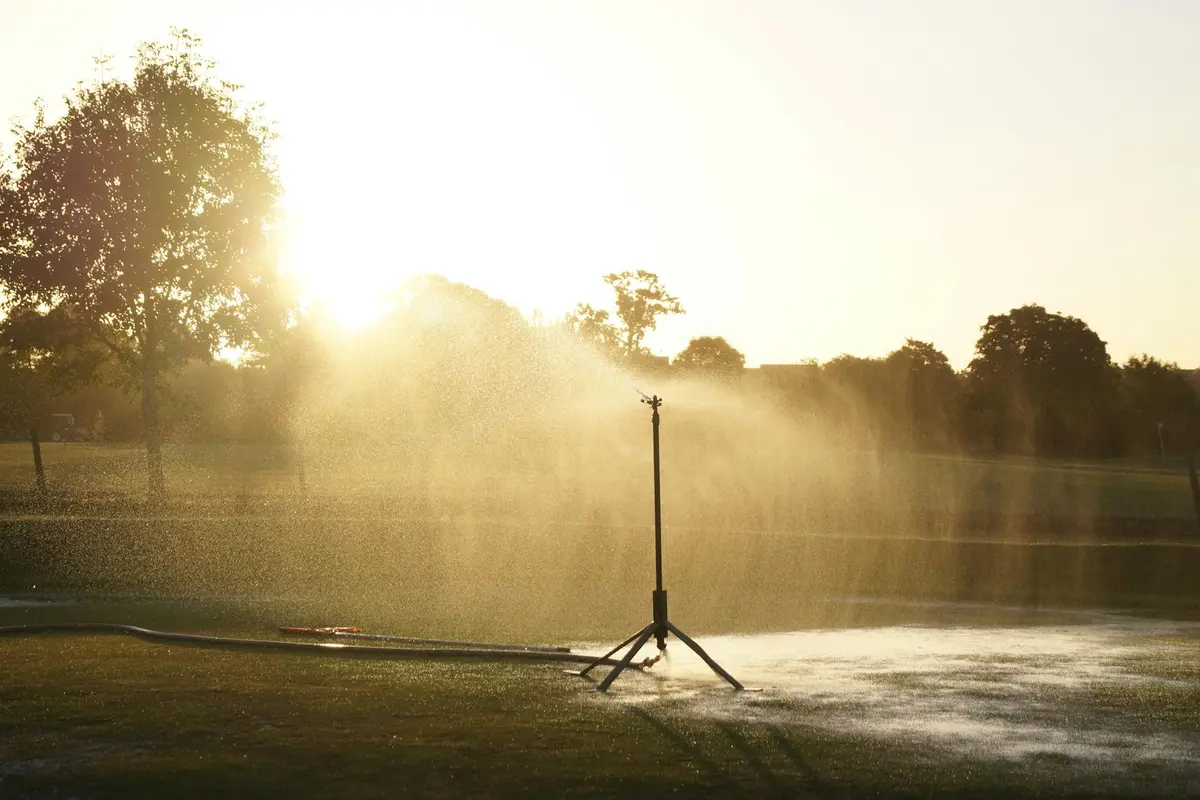 Lawn sprinkler watering a sunlit green lawn with trees in the distance