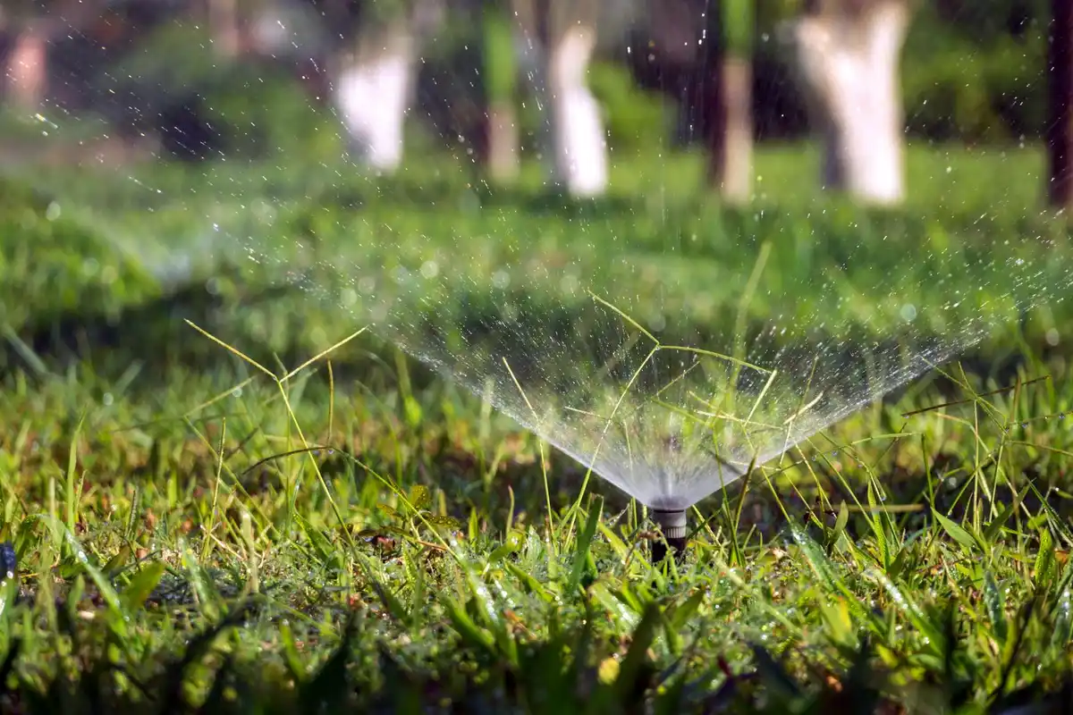 A lawn sprinkler distributing a fine spray over a green lawn with a blurred background