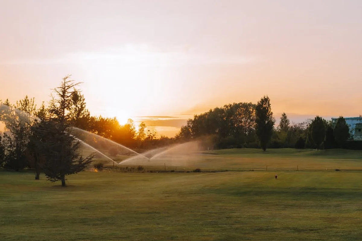 A sprawling green lawn at sunset with a sprinkler system watering the grass, trees in the background.
