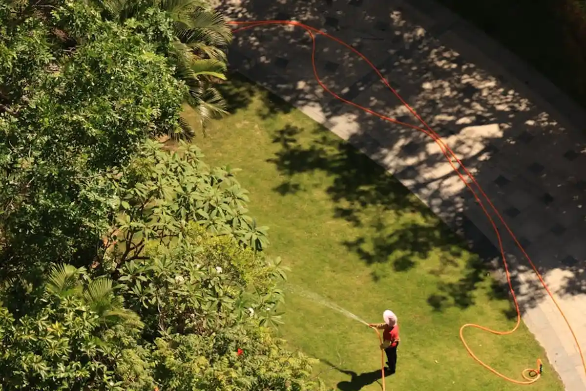 Person watering a lawn with a garden hose seen from above, with trees and a driveway in the background