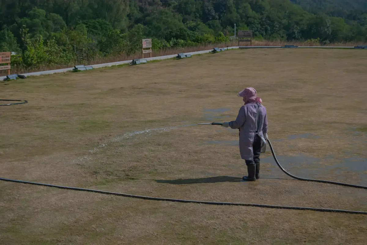 Gardener watering a dry, patchy lawn with a hose