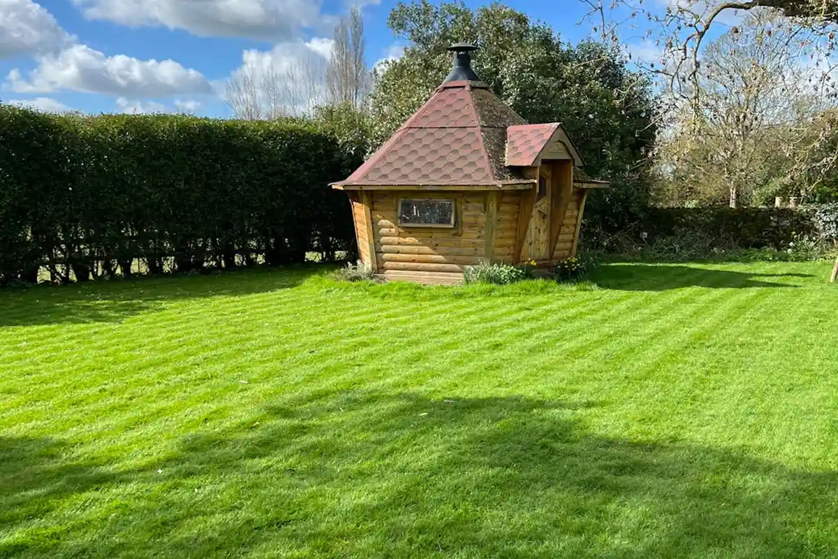 Sunny backyard with a lush green lawn and a small wooden shed.