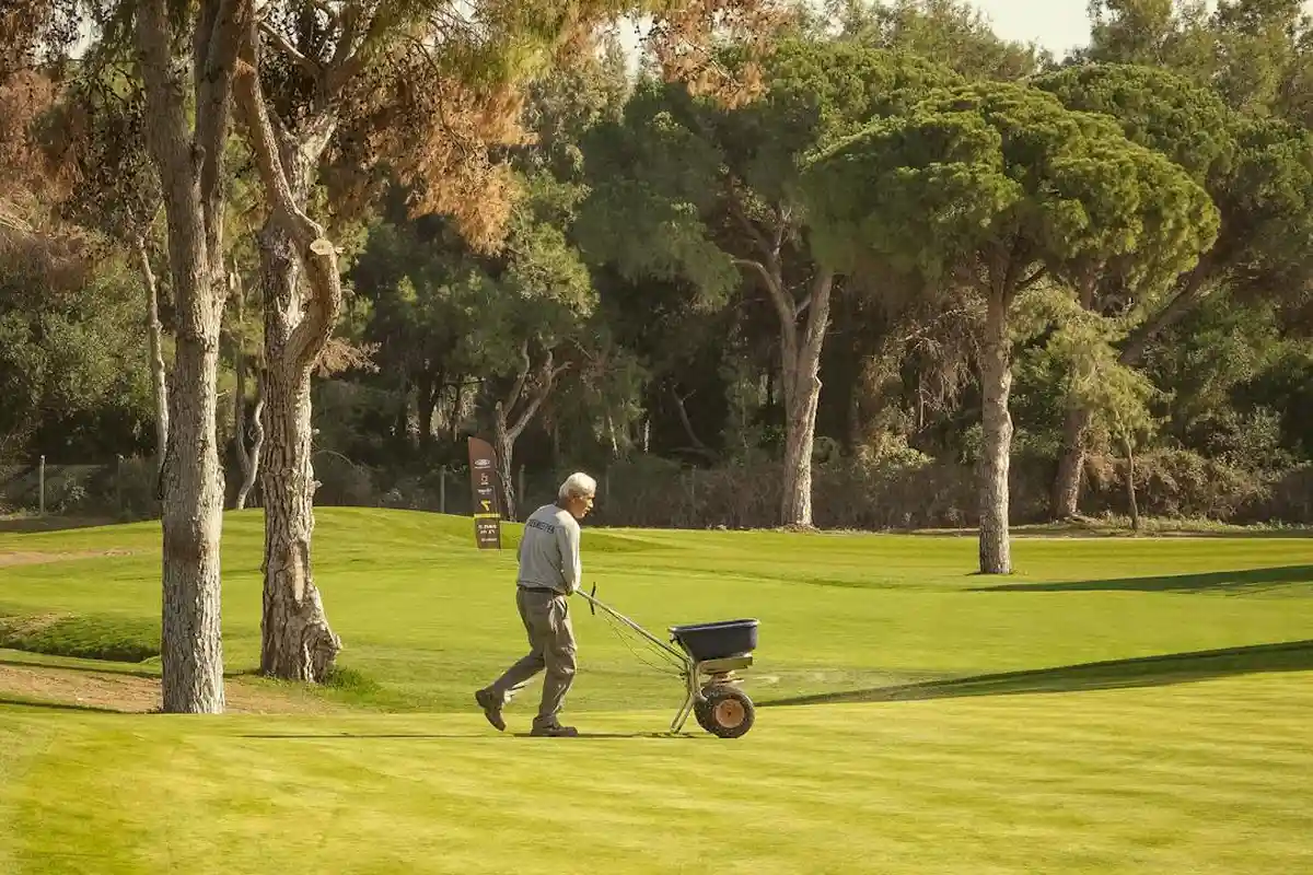 A person pushing a small gas-powered lawn mower across a well-manicured lawn with trees in the background