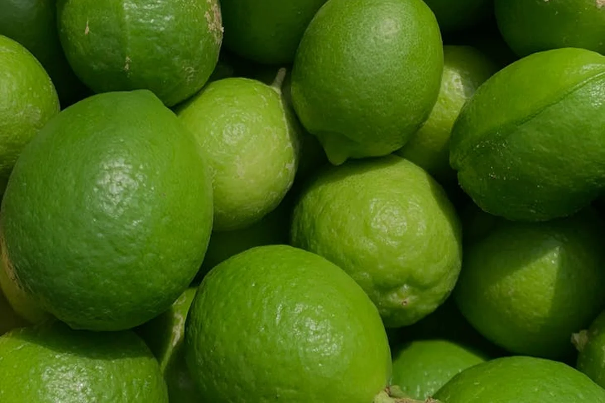 A close-up of bright green limes piled together