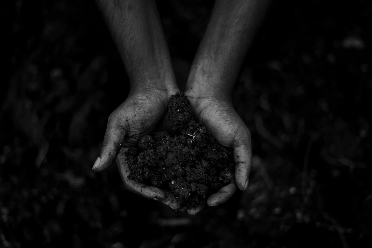 Close-up of hands cupping dark, crumbly soil to support earthworms and microbial life in living soil systems.