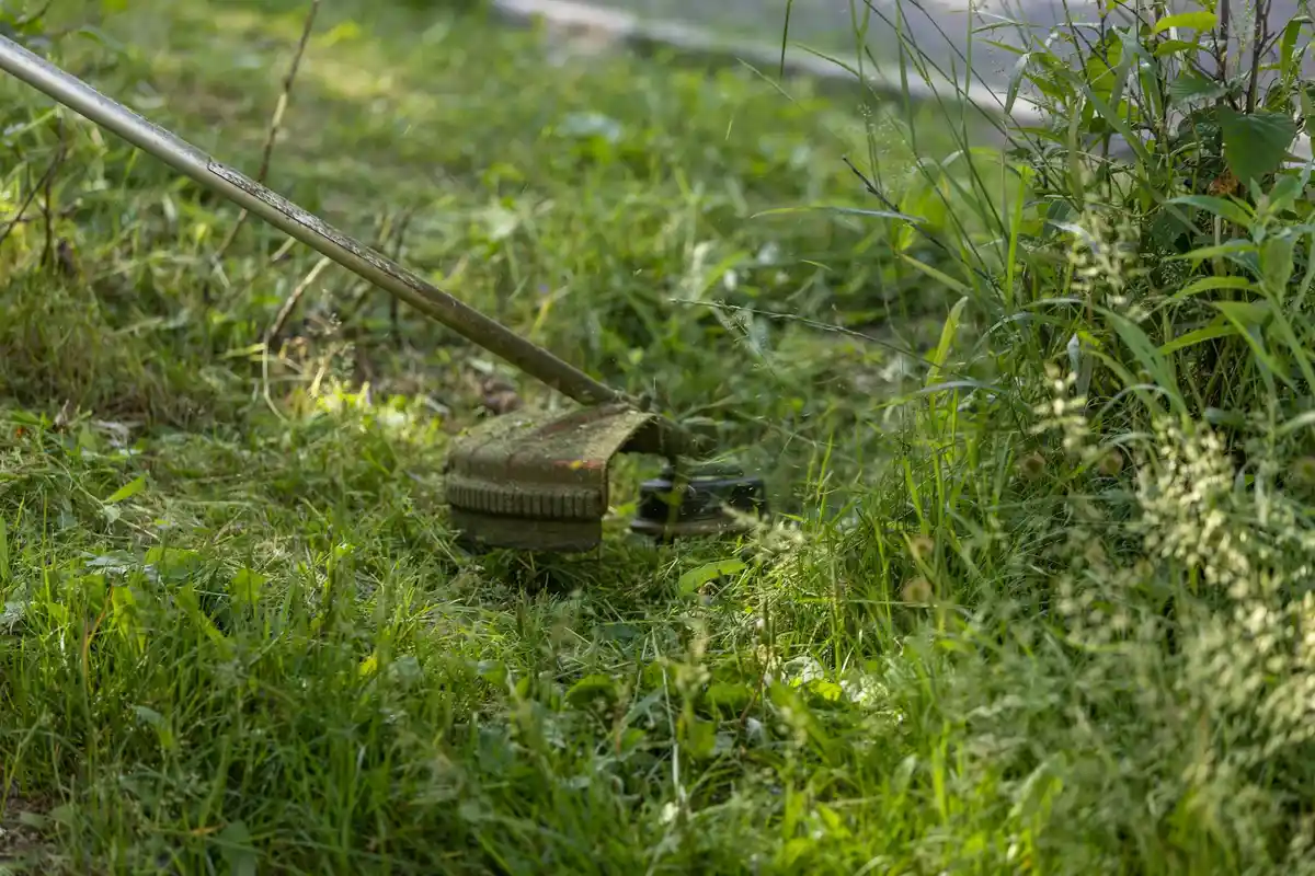 Close-up of a manual lawn aeration tool with a rectangular head resting on green grass.