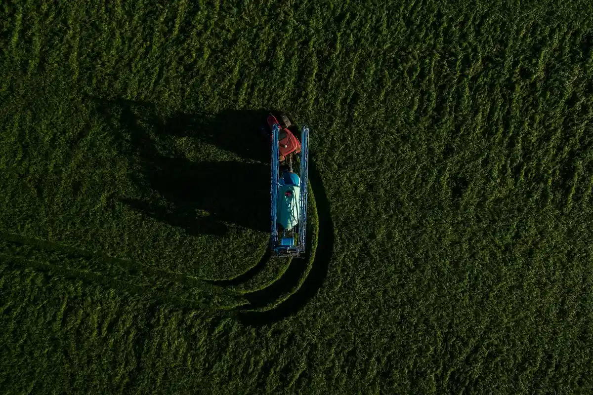 Top-down view of a blue lawn mower mowing a damp, vibrant green lawn, with long shadows.
