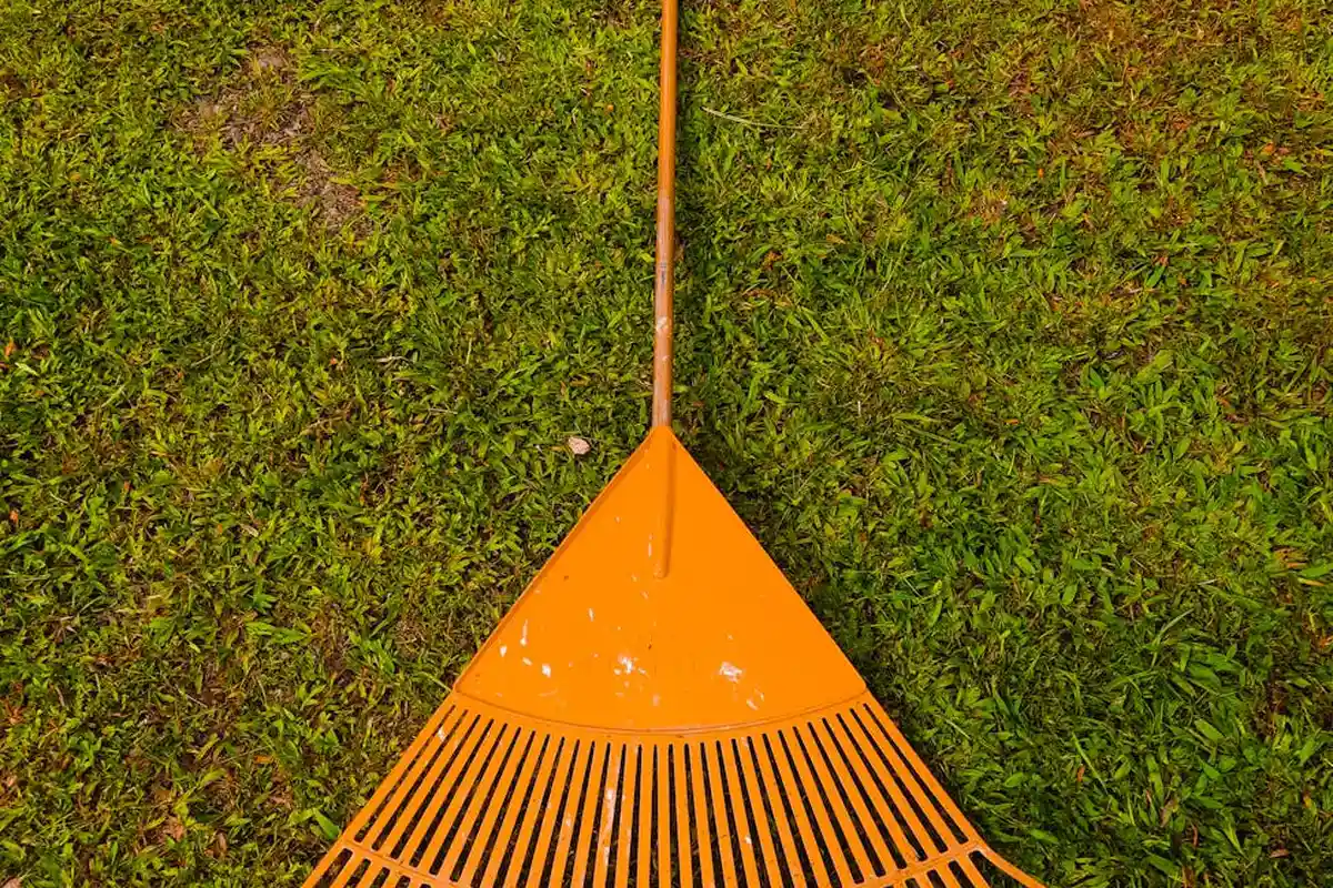 An orange lawn rake resting on lush green grass.