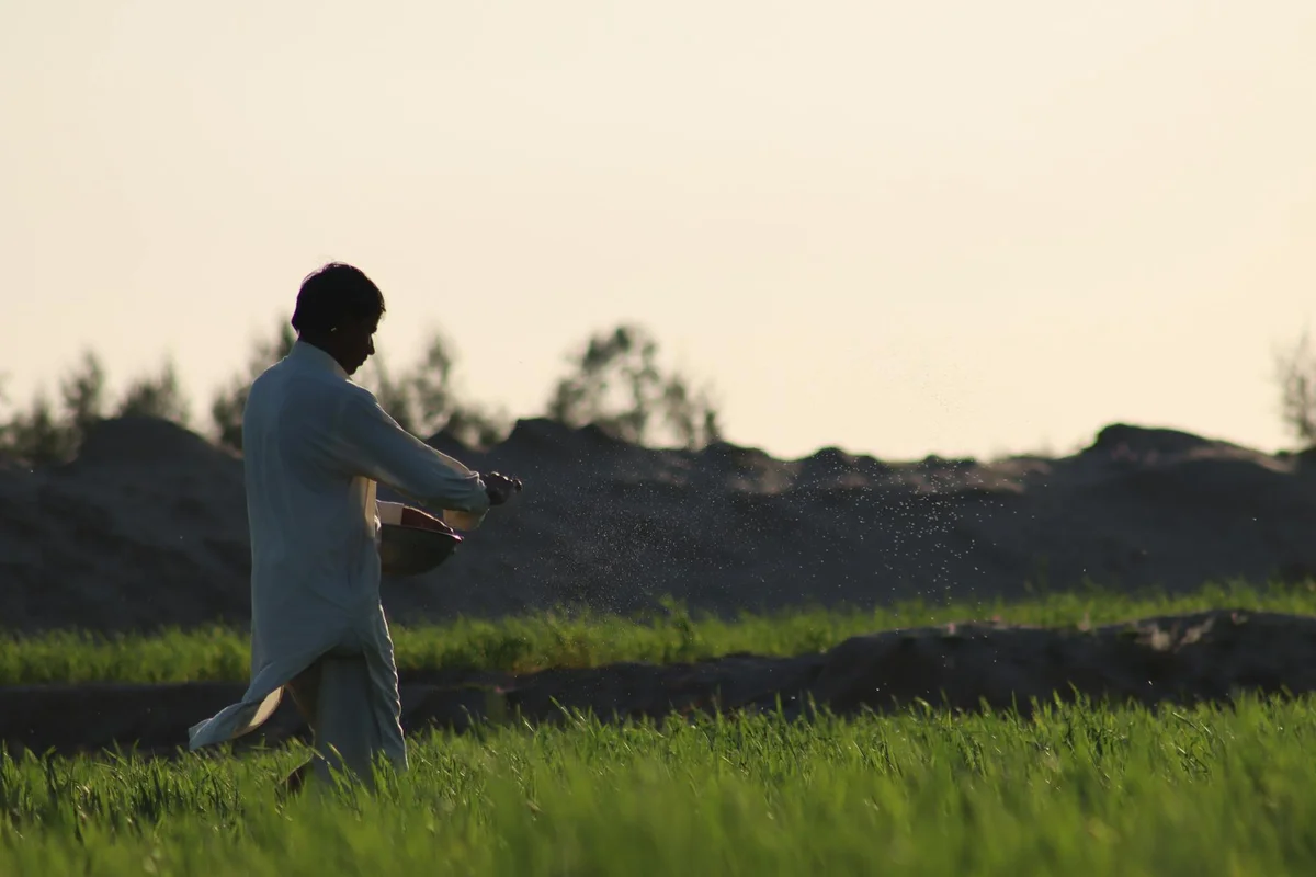 Silhouette of a person in a sunlit field holding a spreader or spray device, with fresh green grass in the foreground and dirt mounds in the background.