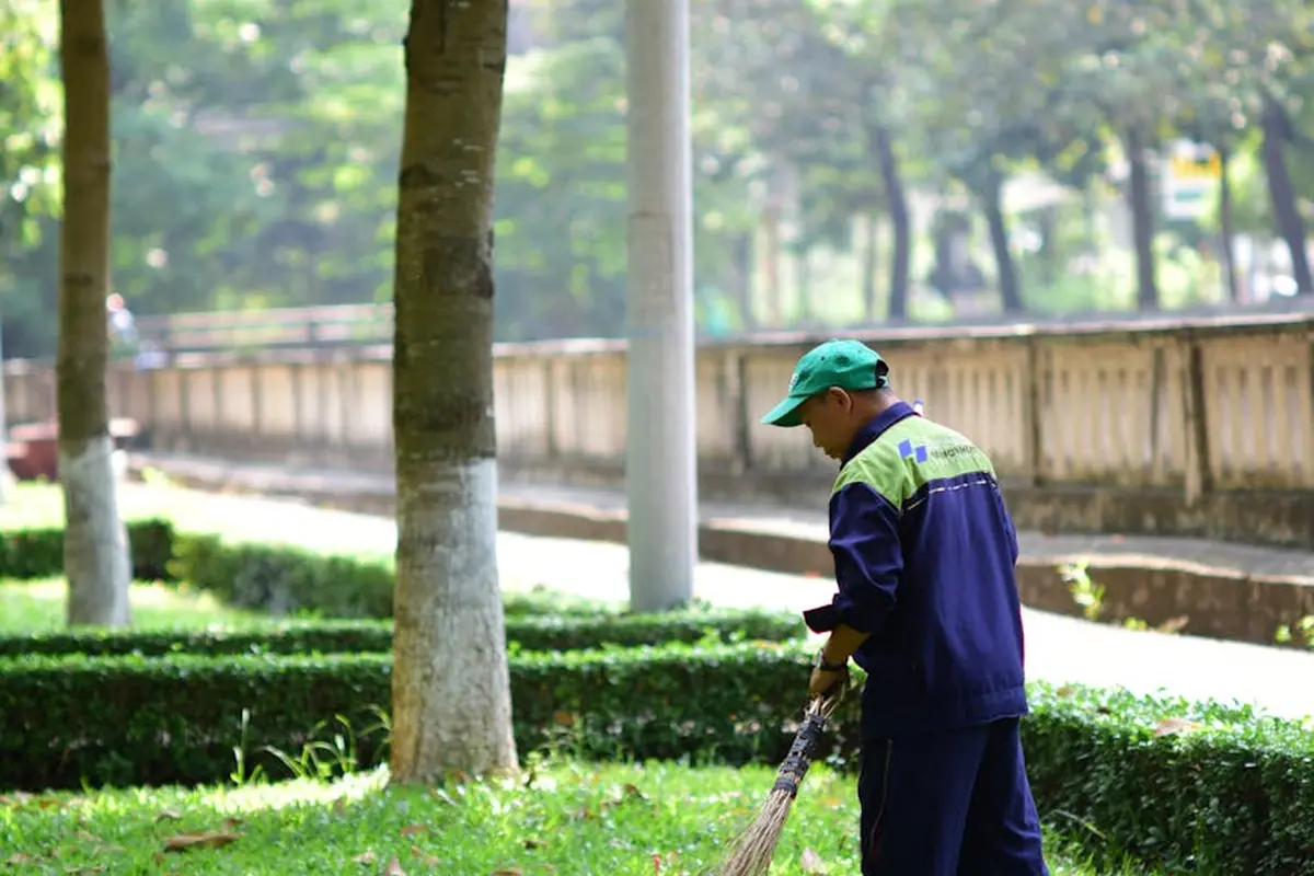 Park groundskeeper sweeping leaves with a broom in a sunny park
