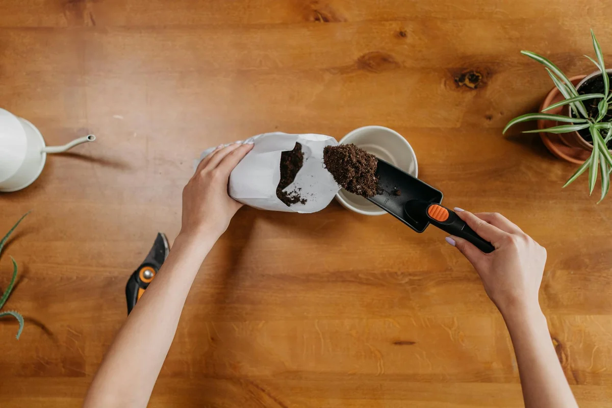 Hands placing soil into a white plant pot on a wooden table, with a trowel and a potted plant nearby.