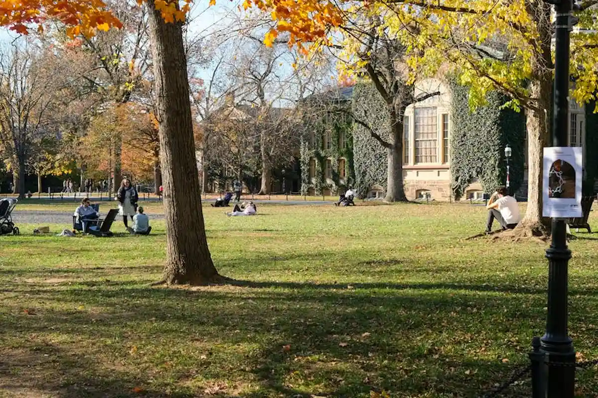 Autumn park scene with people sitting on the grass beneath colorful trees, illustrating planning and preparation for seeding.