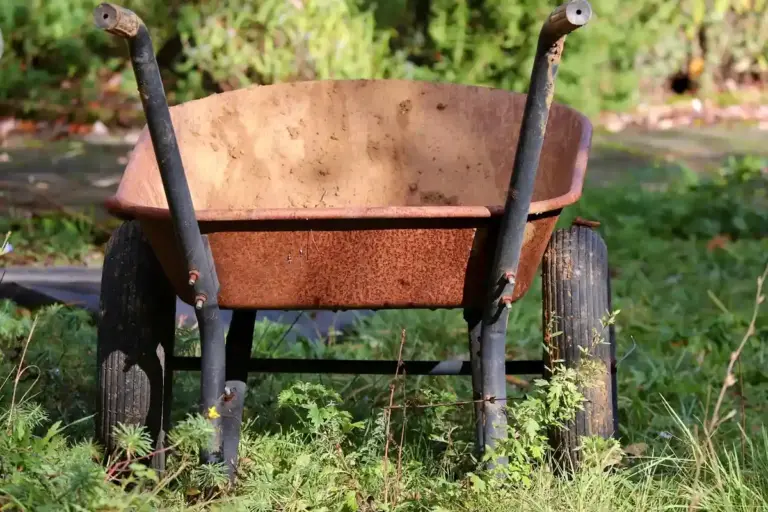 A rusty wheelbarrow resting in tall grass in a garden setting.