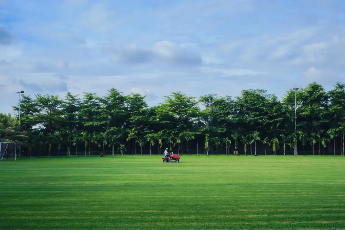A lush green lawn with a row of trees along the background and a person riding a small lawn mower across the field.
