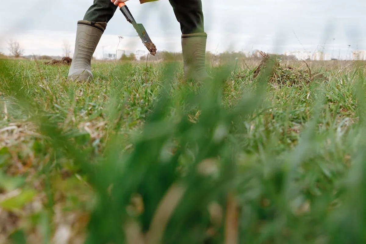 Ground-level view of a person wearing boots, using a shovel to aerate compacted soil in a grassy field.
