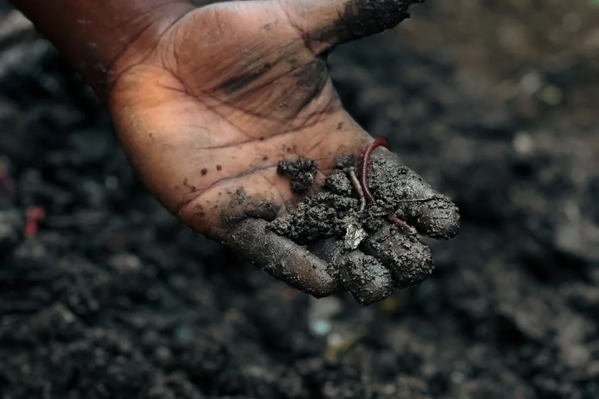 Close-up of a dirt-covered hand holding a handful of soil, ready for a lawn soil test.