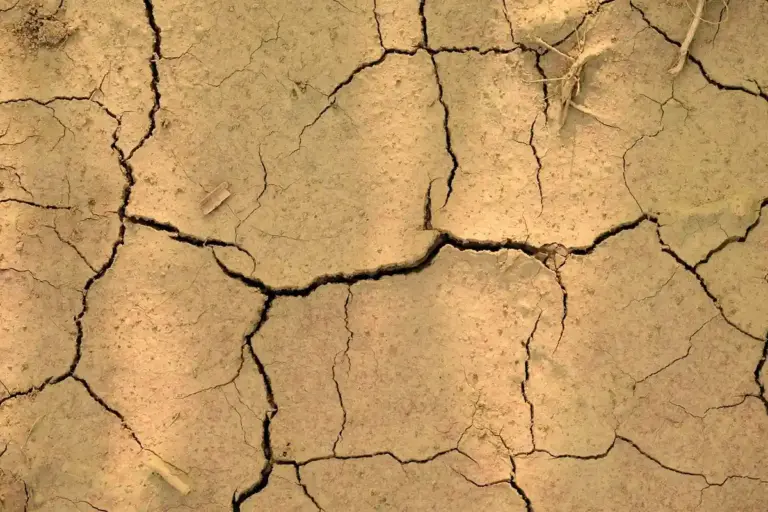 Close-up of dry, cracked soil surface showing fissures caused by compaction, illustrating reduced porosity.
