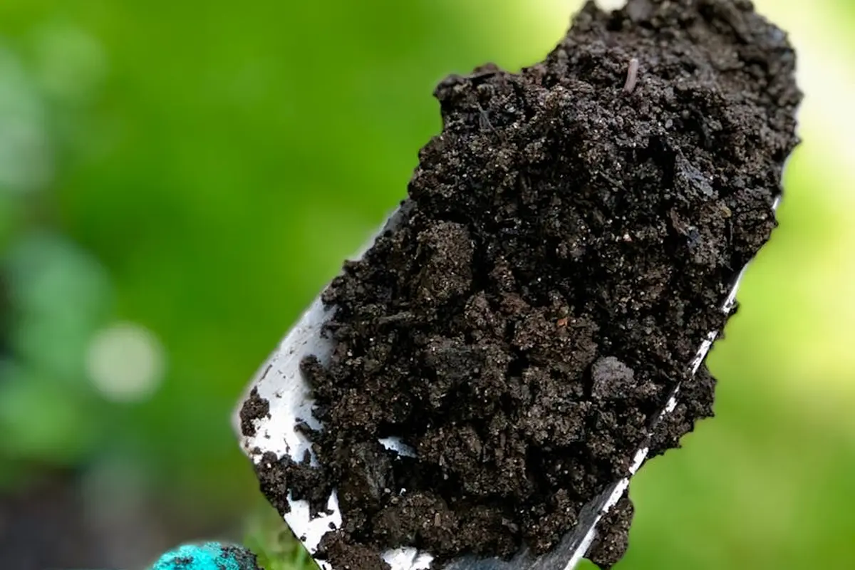 Close-up of dark soil on a garden trowel with a blurred green background