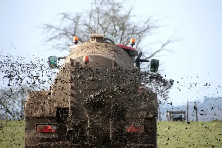 A fertilizer spreader dispersing material onto a spring lawn, with a bare tree in the background.