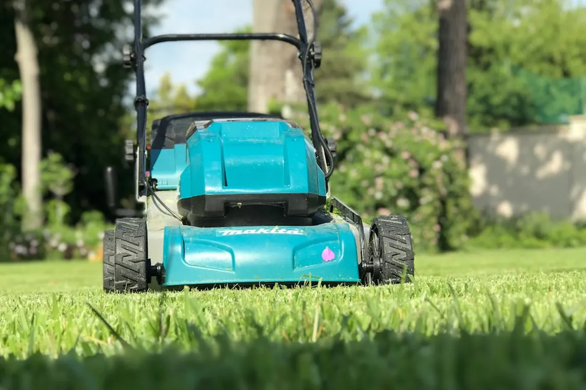 Teal lawn mower on a lush green lawn in a sunny backyard