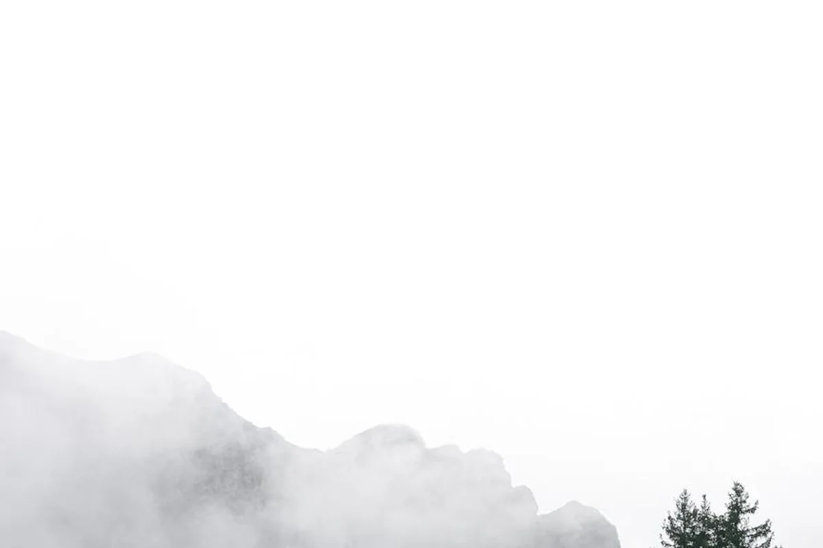 Foggy hillside with rocky outcrop and evergreen trees on a steep slope