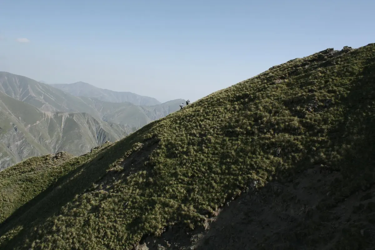 Steep hillside covered with low ground cover, with distant mountains in the background