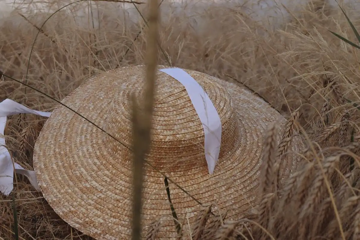 A straw hat with a white ribbon resting among dry straw in a field