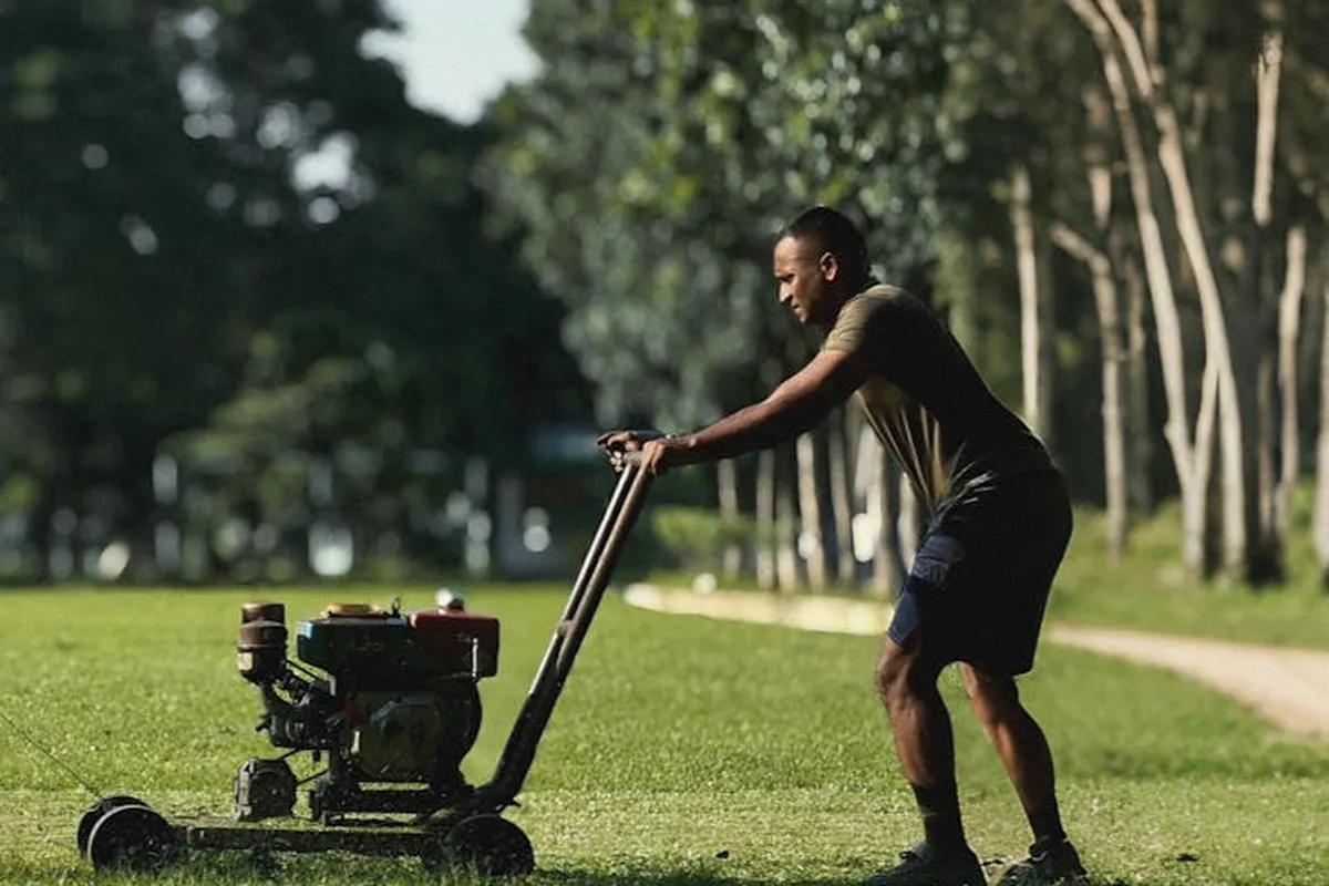 A man pushes a lawn mower across a sunlit green lawn, preparing the area for a grass-type transition.