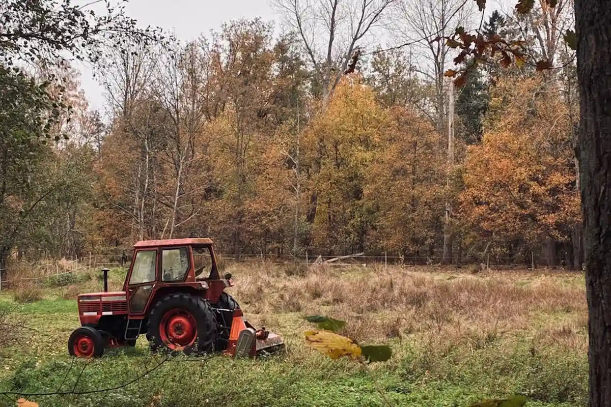Red tractor in a field with autumn trees in the background.