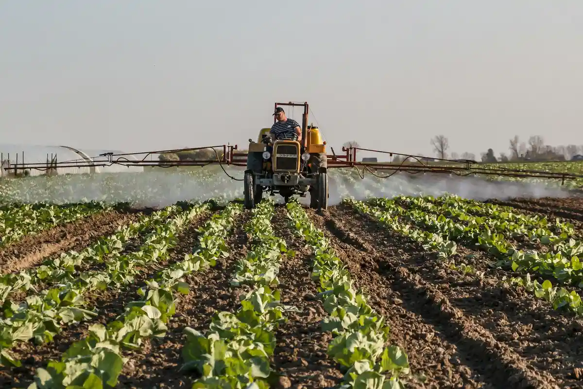 A farmer on a tractor spraying a field with fertilizer over neatly planted rows of green crops.