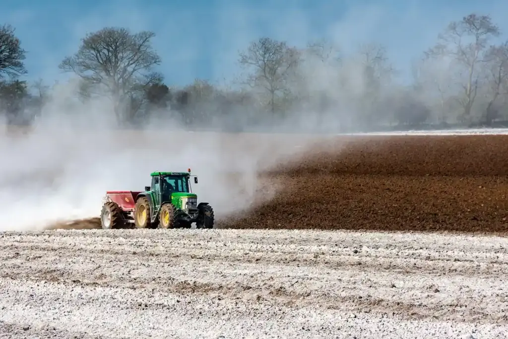 What’s the Right Lawn Fertilizer Schedule for Every Season?