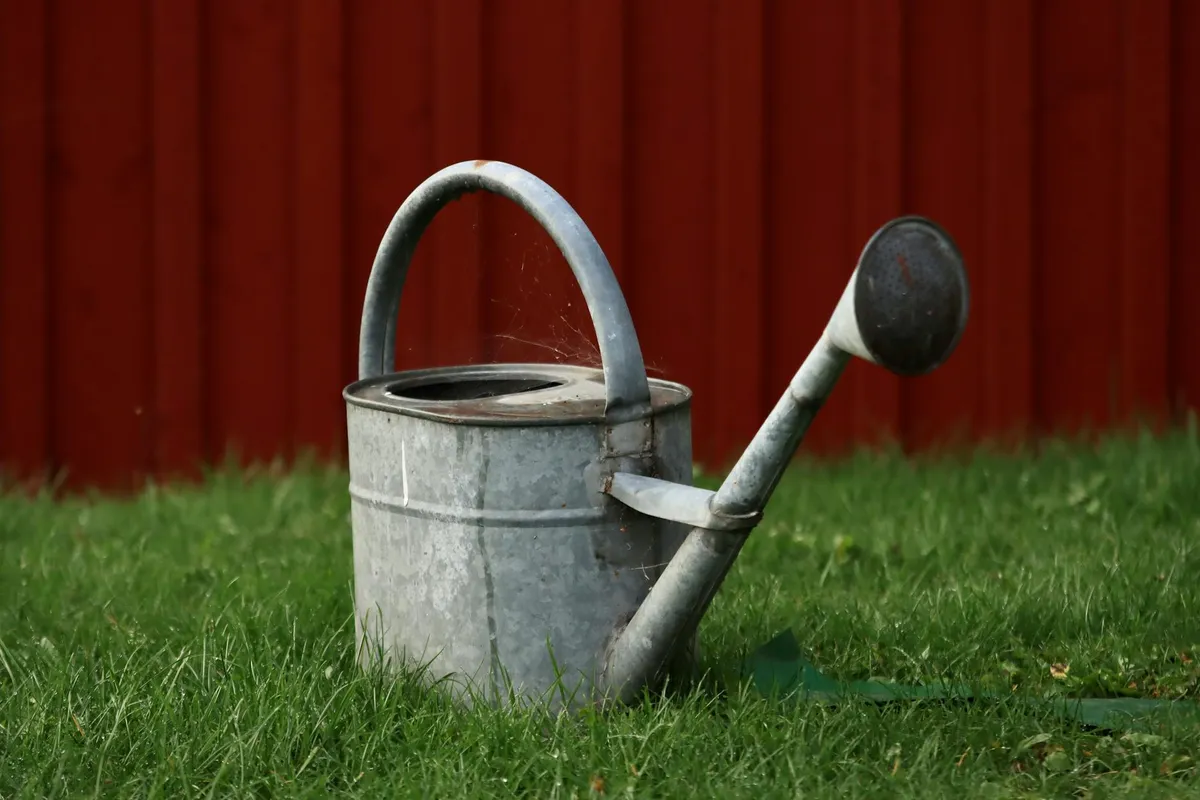 A metal watering can resting on a green lawn with a red fence in the background.