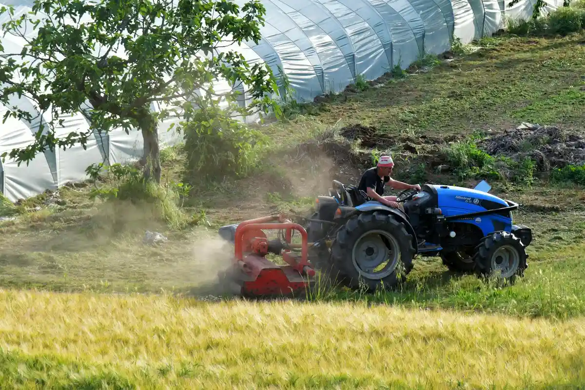 A person driving a blue tractor with a red mower attachment mowing a damp, grassy field near a greenhouse, with dust rising from the wet grass.