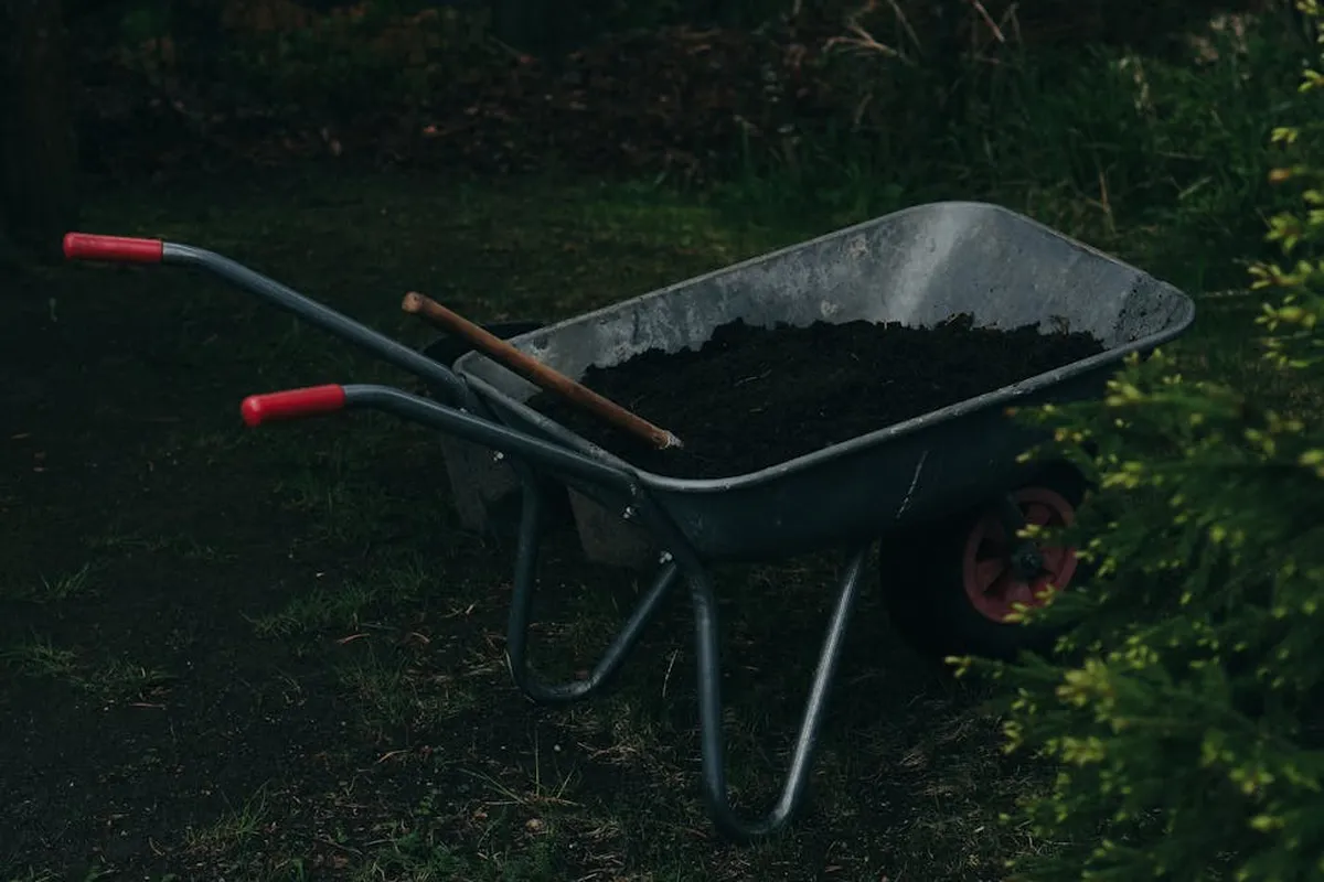Wheelbarrow filled with dark soil in a garden, ready for mixing DIY lawn fertilizer.
