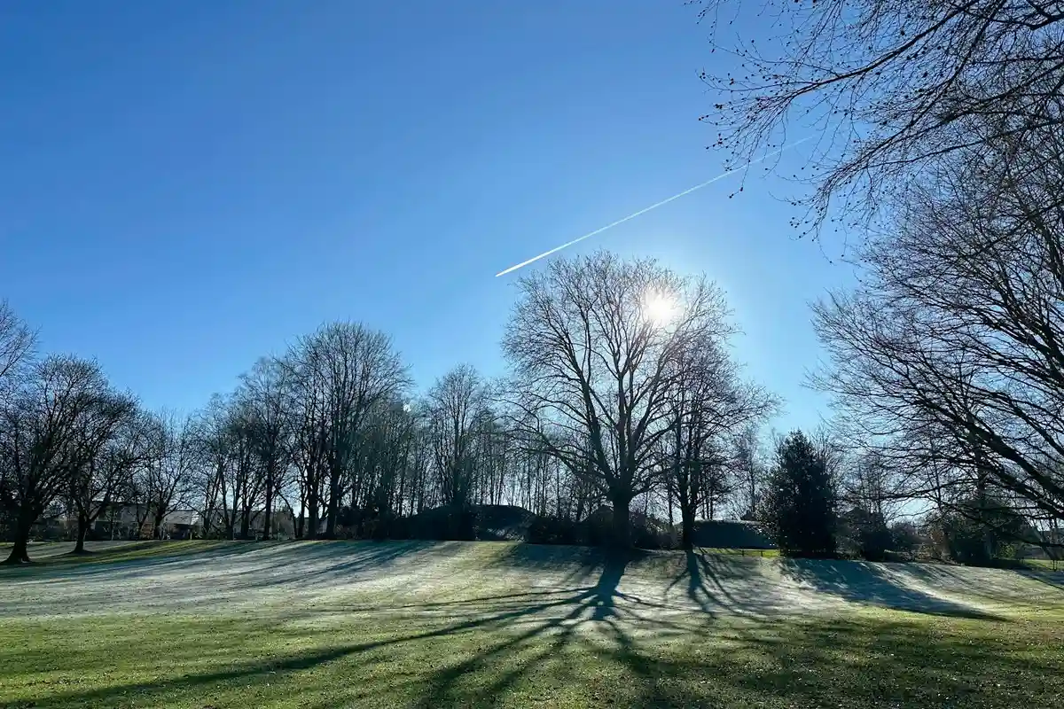 Sunlit lawn with long shadows cast by bare trees under a clear blue sky.